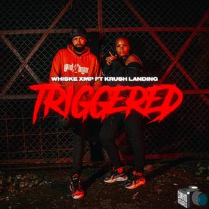 TRIGGERED (feat. Krush) (Explicit)