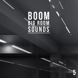 Boom, Vol. 5 - Big Room Sounds