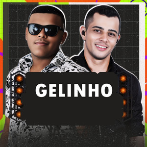 Gelinho