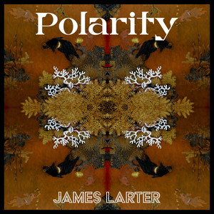 Polarity