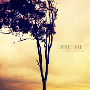 백색나무 (White Tree)