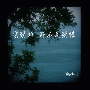 亲爱的，那不是爱情