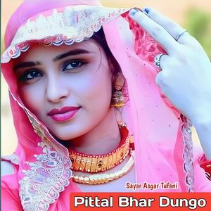 Pittal Bhar Dungo