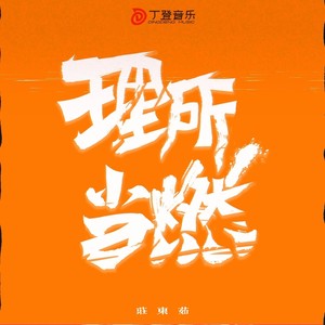 理所当燃封面