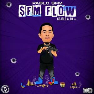 Sfm Flow (Explicit)