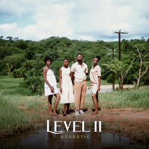 Level 2 (Acoustic)