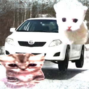 2010 Toyota Corolla (way. Remix)