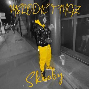 Melodic Tingz (Explicit)