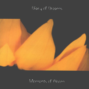 Moments Of Bloom