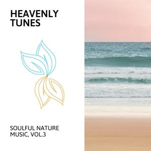 Heavenly Tunes - Soulful Nature Music, Vol.3