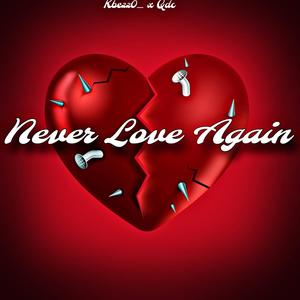 Never Love Again (feat. QDC) [Radio Edit] [Explicit]