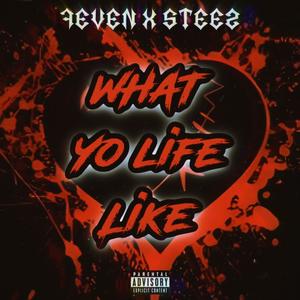 What Yo Life Like (Explicit)