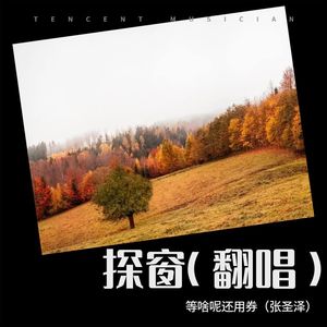探窗