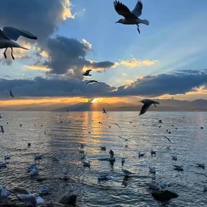 奥迪进行曲 哇扣