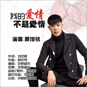 我的爱情不是爱情