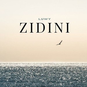 Zidini