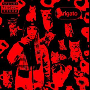 ARIGATO (feat. 1lezyyO) [Explicit]