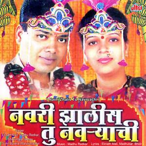 Navri Jalis Tu Navyachi