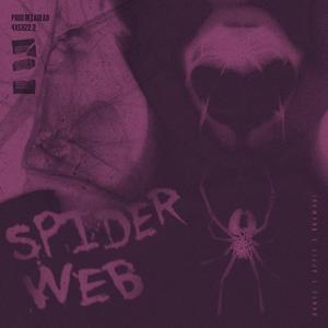 SPIDER WEB (Slow Reverb)