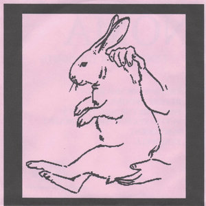 Drone Returning to Hive