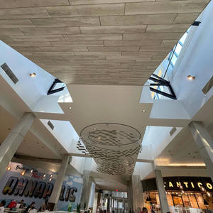 ShoppingBags (feat. SRG) (Explicit)