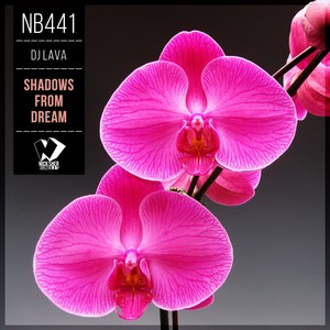 Shadows from Dream (Original Mix)