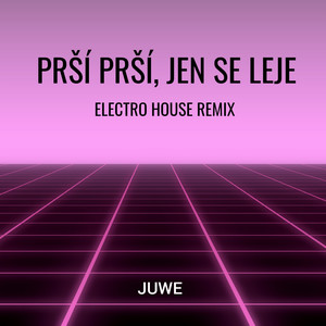 Prší Prší, Jen Se Leje (Electro House Remix)