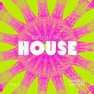 Crush On House, Vol. 3 (Explicit)
