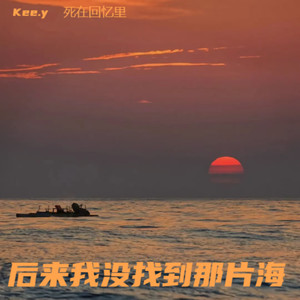 后来我没找到那片海