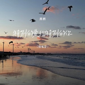 特别的爱给特别的你 (烟嗓版)
