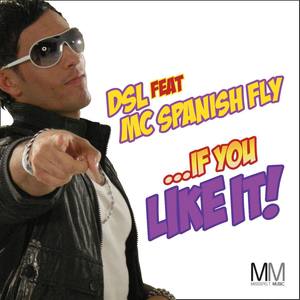 If You Like It (feat. MC Spanish Fly)