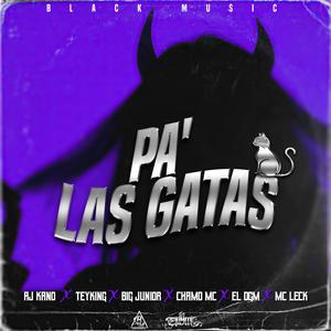 Pa' las gatas. (feat. Aj Kano, Teyking, Big Junior Sp, Chamo Mc & Mc Leck) (Explicit)