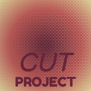 Cut Project