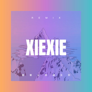 一生中最爱 (DJ弹鼓版)