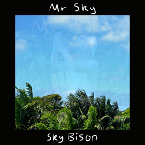 Mr Sky