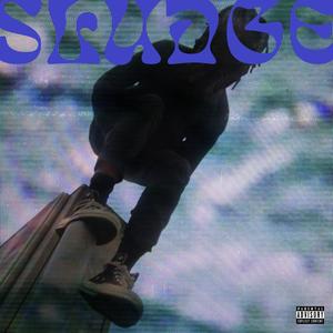 SLUDGE (Explicit)