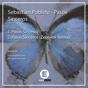 Pasos Sinceros (Zepovek Remix)