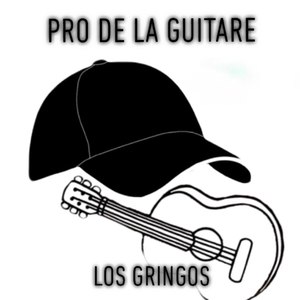 Pro De La Guitare