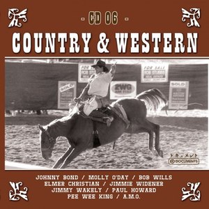 Country Hits Vol. 6