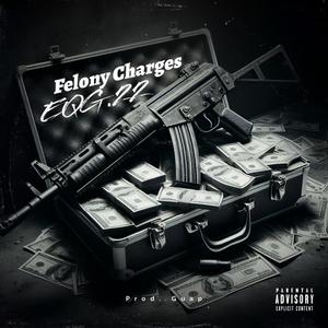 Felony Charges (Explicit)