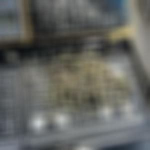 UnVaulted (Explicit)