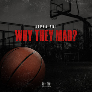 Why They Mad? (Explicit)