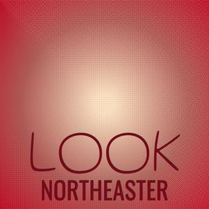 Look Northeaster