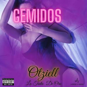 GEMIDOS (Explicit)