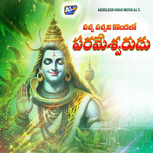 Paccha Pacchani Kondalo Parameswarudu
