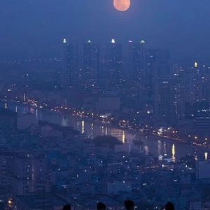 浪漫的不是花 是你
