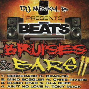 Beats, Bruises & Bars (Explicit)