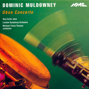 Oboe Concerto - VIII. —