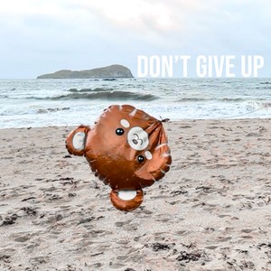 Don't Give Up