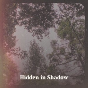 Hidden in Shadow